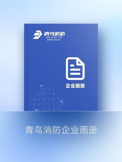 九游会j9官网入口
企业画册
