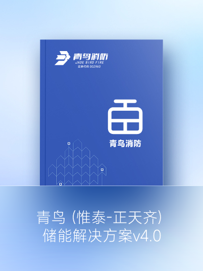 青鸟 (惟泰-正天齐) 储能kok手机网页版登录注册入口
v4.0