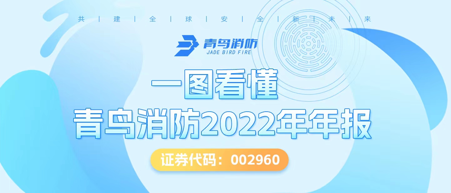 一图看懂九游会j9官网入口
2022年年报